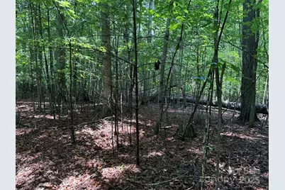 00 Hundred Acres Lane, Lenoir, NC 28645 - Photo 10