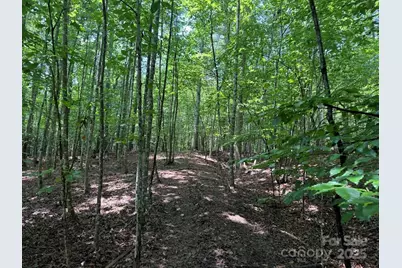 00 Hundred Acres Lane, Lenoir, NC 28645 - Photo 2
