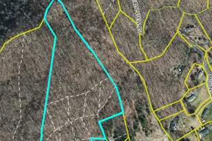 0000 Wheeler Hills Rd, Burnsville, NC 28714 - Photo 10