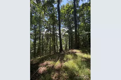 0000 Wheeler Hills Road, Burnsville, NC 28714 - Photo 6