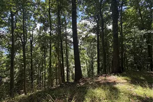 0000 Wheeler Hills Rd, Burnsville, NC 28714 - Photo 6