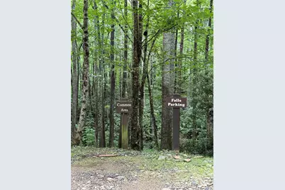 Lot #35 Damselfly Court, Spruce Pine, NC 28777 - Photo 4