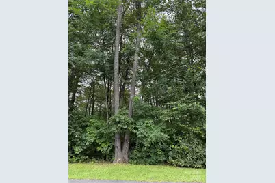 Lot #35 Damselfly Court, Spruce Pine, NC 28777 - Photo 10