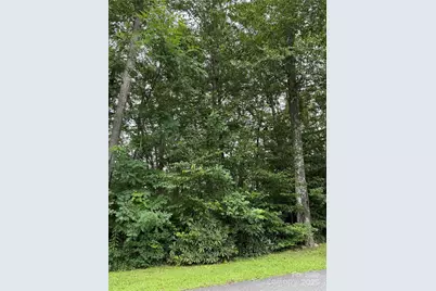 Lot #35 Damselfly Court, Spruce Pine, NC 28777 - Photo 8