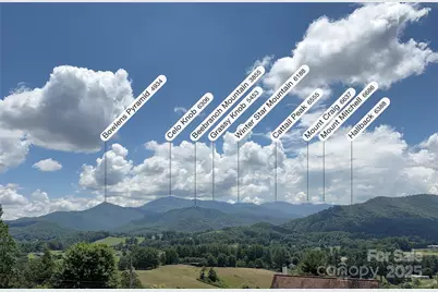 95 Friendship Road, Burnsville, NC 28714 - Photo 4