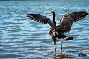 3325 Fairview Dr, Gastonia, NC 28052 - Photo 28