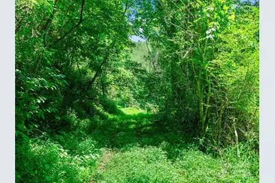 1377 Langford Branch Road, Burnsville, NC 28714 - Photo 12