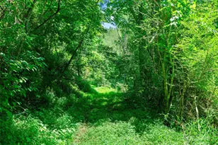 1377 Langford Branch Rd, Burnsville, NC 28714 - Photo 12