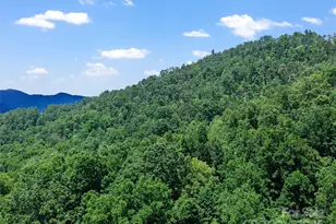 1377 Langford Branch Rd, Burnsville, NC 28714 - Photo 34