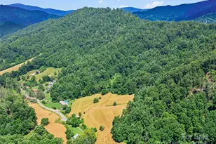 1377 Langford Branch Rd, Burnsville, NC 28714 - Photo 28