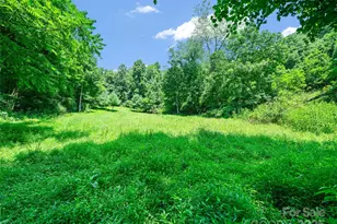 1377 Langford Branch Rd, Burnsville, NC 28714 - Photo 6