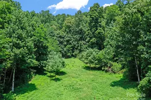 1377 Langford Branch Rd, Burnsville, NC 28714 - Photo 30