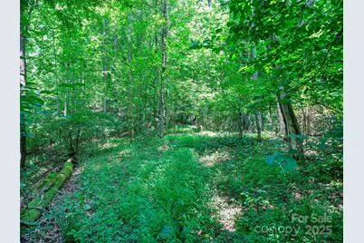 1377 Langford Branch Road, Burnsville, NC 28714 - Photo 24