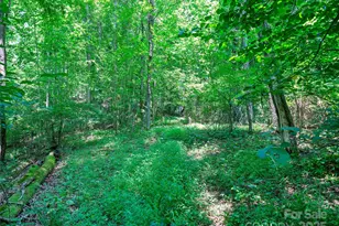 1377 Langford Branch Rd, Burnsville, NC 28714 - Photo 24