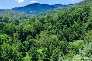 1377 Langford Branch Rd, Burnsville, NC 28714 - Photo 16