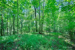 1377 Langford Branch Rd, Burnsville, NC 28714 - Photo 26