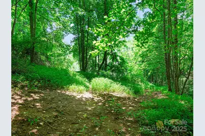 1377 Langford Branch Road, Burnsville, NC 28714 - Photo 18