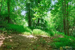 1377 Langford Branch Rd, Burnsville, NC 28714 - Photo 18