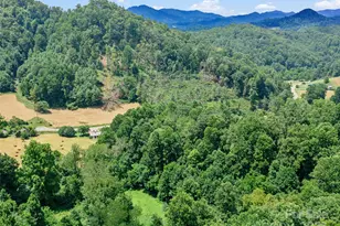 1377 Langford Branch Rd, Burnsville, NC 28714 - Photo 14