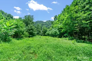 1377 Langford Branch Rd, Burnsville, NC 28714 - Photo 4