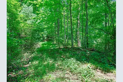 1377 Langford Branch Road, Burnsville, NC 28714 - Photo 20