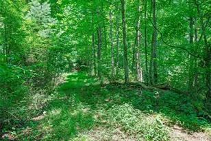 1377 Langford Branch Rd, Burnsville, NC 28714 - Photo 20