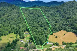 1377 Langford Branch Rd, Burnsville, NC 28714 - Photo 2