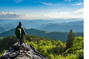 2095 Elk Ridge Rd, Ferguson, NC 28624 - Photo 38