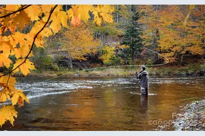 2095 Elk Ridge Road, Ferguson, NC 28624 - Photo 34