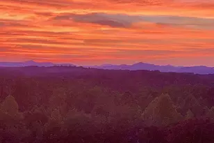 1885 Rock Rd, Rutherfordton, NC 28139 - Photo 48