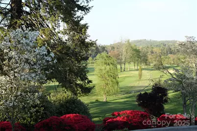 000 Greenleaf Drive, Flat Rock, NC 28731 - Photo 4