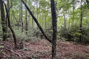 000 Greenleaf Dr, Flat Rock, NC 28731 - Photo 1