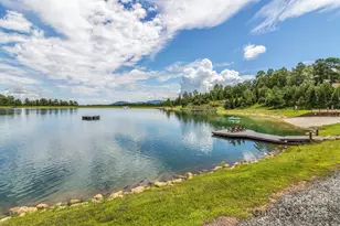 1347 Scenic Vista Dr, Nebo, NC 28761 - Photo 44