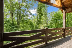 194 Bear Creek Dr, Fletcher, NC 28732 - Photo 18