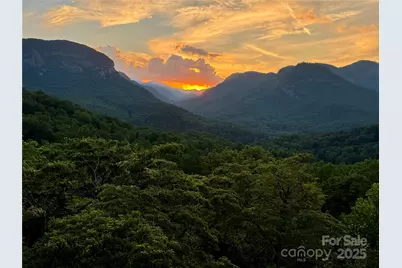 315 Thomas A Edison Road, Lake Lure, NC 28746 - Photo 46