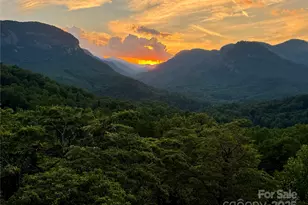 315 Thomas A Edison Rd, Lake Lure, NC 28746 - Photo 46