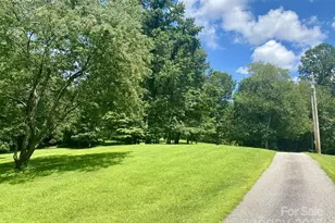 163 Gypsy Mountain Rd, Marion, NC 28752 - Photo 46