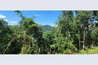 37 Destination Drive, Waynesville, NC 28786 - Photo 4