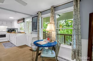 6 N Delano Rd, Asheville, NC 28805 - Photo 24