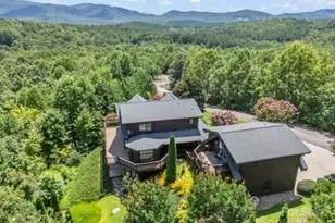 202 Panorama Dr, Nebo, NC 28761 - Photo 4