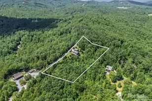 202 Panorama Dr, Nebo, NC 28761 - Photo 10