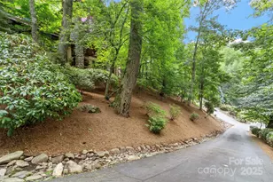 321 Sunset Point Rd, Burnsville, NC 28714 - Photo 42