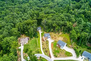 235 Olivet Ln, Fletcher, NC 28732 - Photo 44