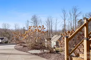 235 Olivet Ln, Fletcher, NC 28732 - Photo 36