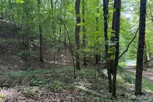 0 Cane Mountain Ln, Burnsville, NC 28714 - Photo 2