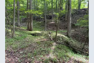 0 Cane Mountain Lane, Burnsville, NC 28714 - Photo 1