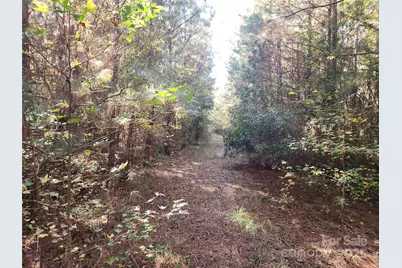 1202 Willow Brook Road, Nashville, NC 27856 - Photo 10