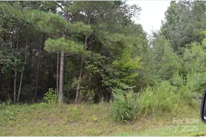 0 Old Morganton Road, Union Mills, NC 28139 - Photo 14