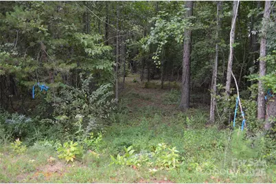 0 Old Morganton Road, Union Mills, NC 28139 - Photo 2