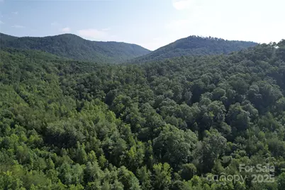 0 Camp McCall Road, Bostic, NC 28018 - Photo 4